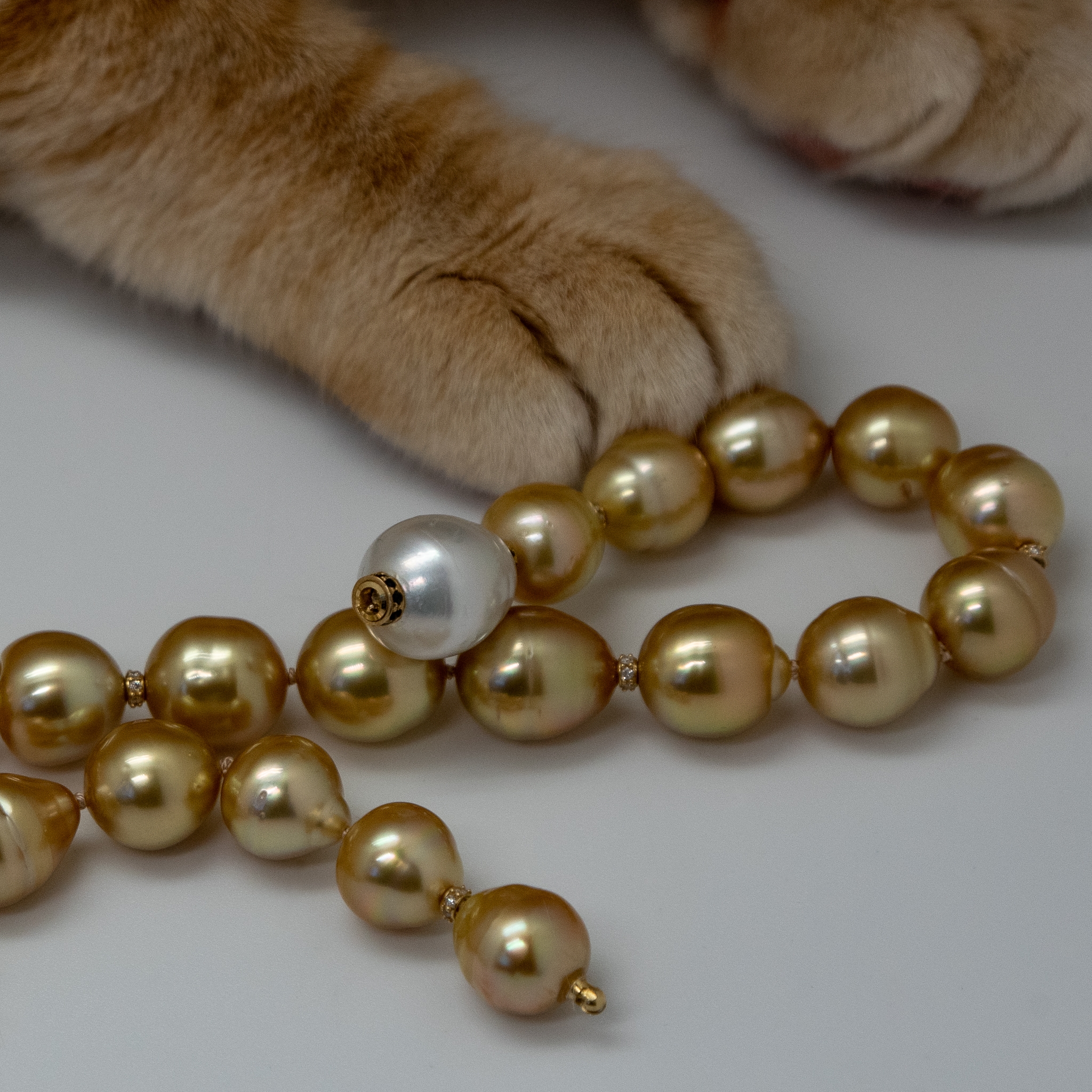 Closeup of interchangeable clasp on golden South Sea pearl choker (with cat's paw)