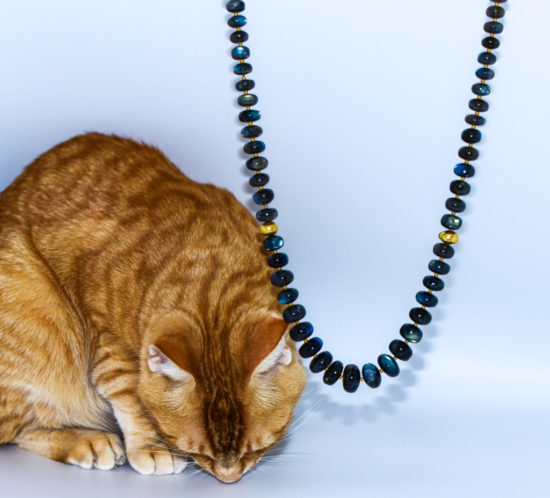 Bento the kitty inspects an opera length labradorite necklace accented with gold beads.