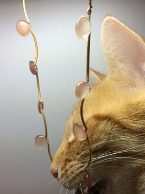 All about the 'extraordinary bling' of bento: the muse, the designer, the jewels, the atelier. This is a photograph captured while the orange kitty Bento inspects some jewellery. Bento loves bling!